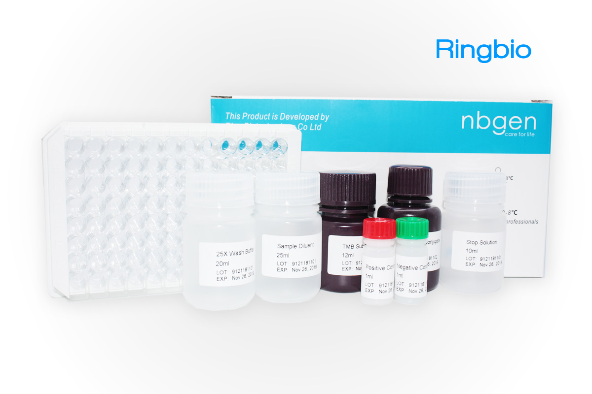 RT-PCR Kit de l’Antigènes de Pest Procine Africaine