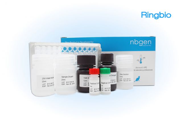 PRRSV Real-time PCR Kit